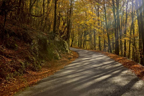 Sonbahar yatay, yol ve güzel renkli ağaçlar, Geres otelleri — Stok fotoğraf