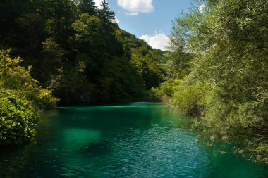 Hırvatistan 'ın Plitvice Gölleri Ulusal Parkı manzarası