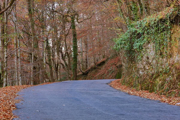 Krajobraz z drogi i piękne kolorowe drzewa, Geres — Zdjęcie stockowe