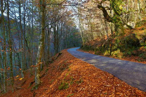 Sonbahar yatay, yol ve güzel renkli ağaçlar, Geres otelleri — Stok fotoğraf