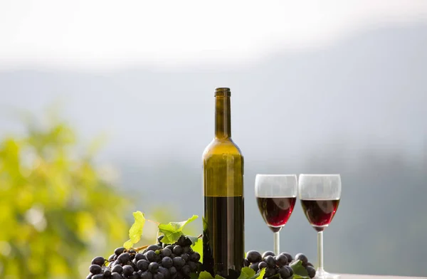 Wine bottle and grapes on wooden table outdoor — Stock Photo, Image