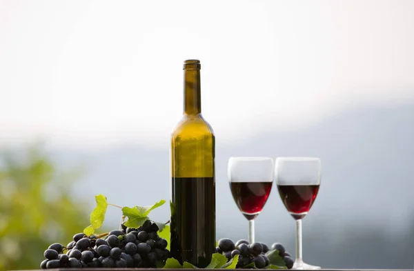 Bottiglia di vino e uva sul tavolo di legno all'aperto — Foto Stock
