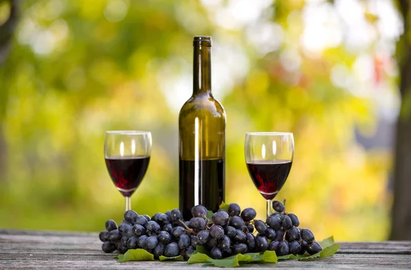 Botella de vino y uvas en mesa de madera al aire libre —  Fotos de Stock