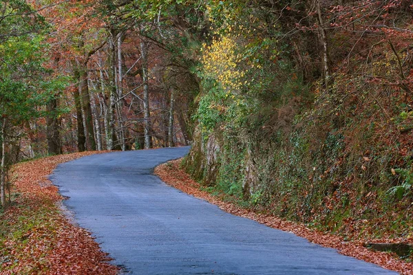 Paisaje otoñal con carretera y hermosos árboles de colores, en Geres —  Fotos de Stock