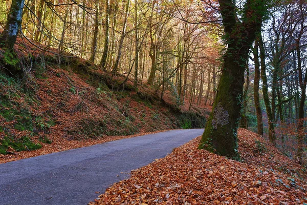 Podzimní krajina se silnicí a krásné barevné stromy, ve městě Geres — Stock fotografie