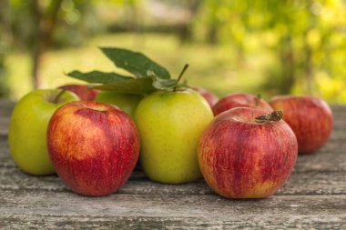 Tahta bir masada, yeşil arka planda olgun elmalar.