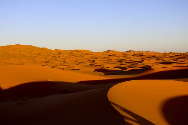Sahara öknens sanddyner vid solnedgången i Marocko — Stockfoto