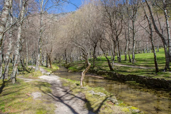 Covao d 'ametade no Parque Natural da Serra da Estrela. Portugal — Fotografia de Stock