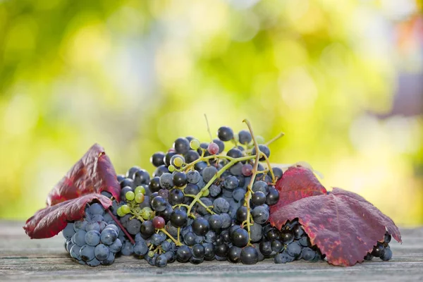 Uvas en mesa de madera, al aire libre — Foto de Stock