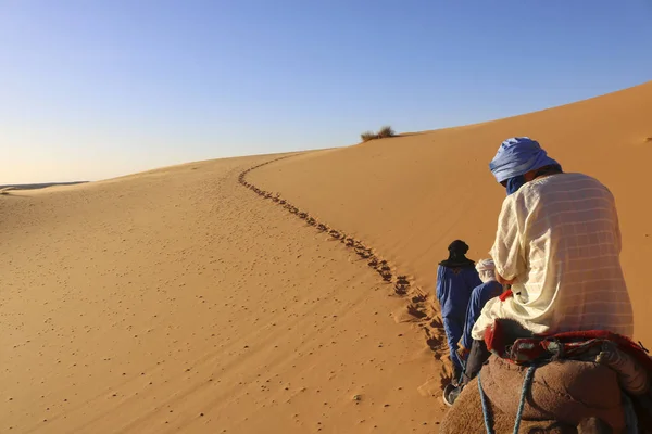 Viaje en camello — Foto de Stock