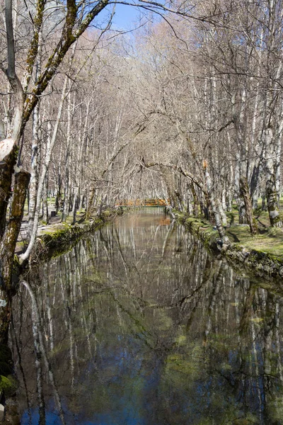 Kovao d 'ametade — Stok fotoğraf