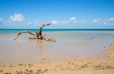 Mozambik Beach
