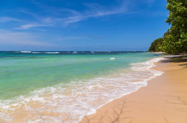 Beach in costa rica — Stock Photo, Image