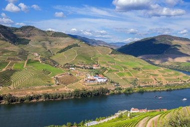 Douro Vadisi manzara