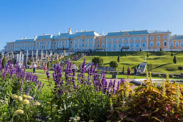 Peterhof, San Petersburgo —  Fotos de Stock