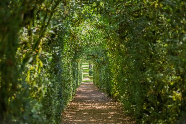 Jardins de Marqueyssac