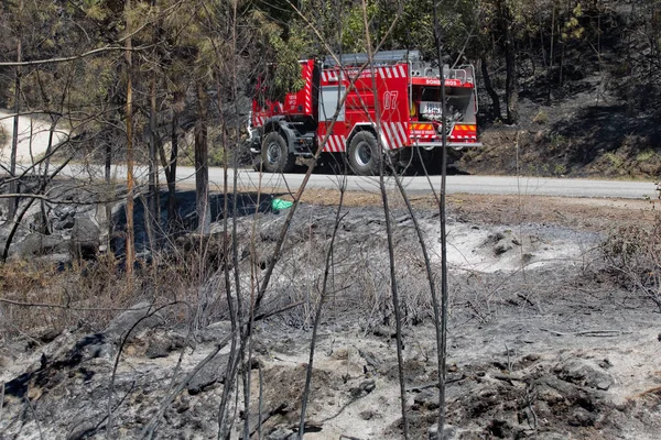 Waldbrand — Stockfoto