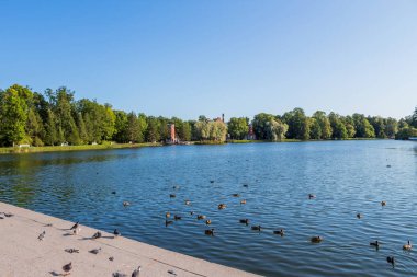 Catherine sarayı ve bahçeleri