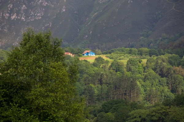 Picos de Europa — Stockfoto