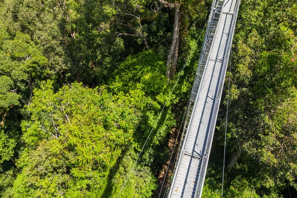 Ulu Temburong Milli Parkı — Stok fotoğraf