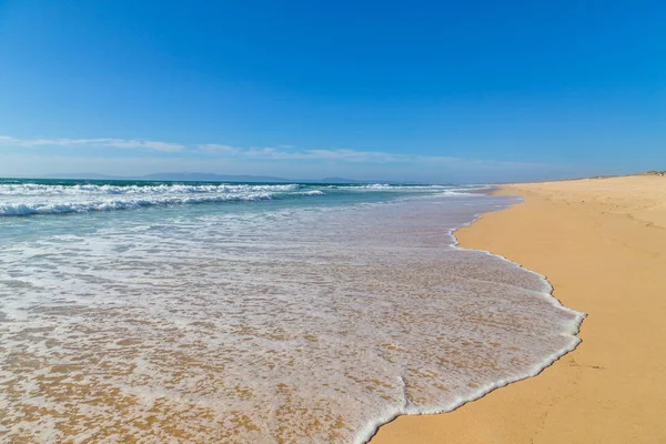 Plaża Comporta w Portugalii — Zdjęcie stockowe