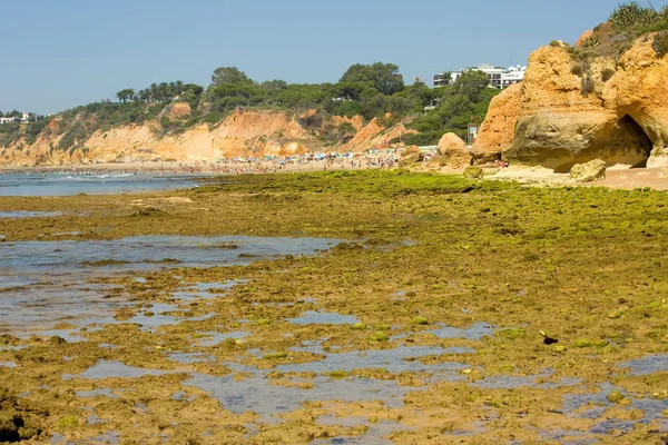 Olhos de Agua — Foto Stock