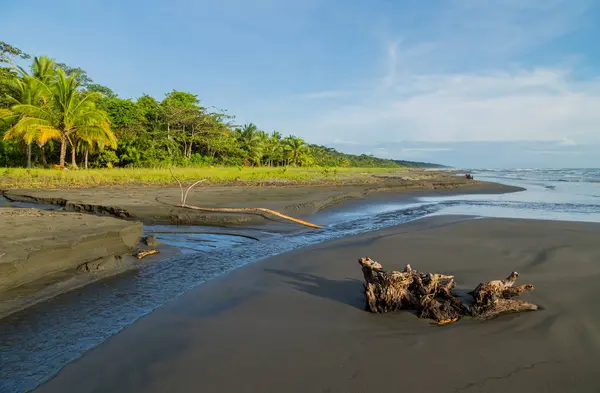 Spiaggia in Costa Rica — Foto Stock