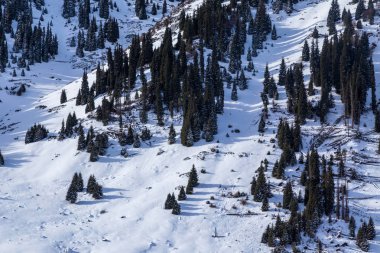 Ak Bulak, Almat, Kazakistan