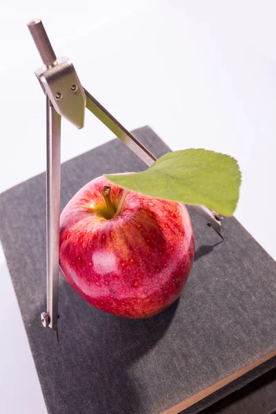 Hogere schooltijd — Stockfoto