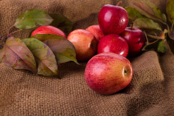 Bodegón de otoño — Foto de Stock