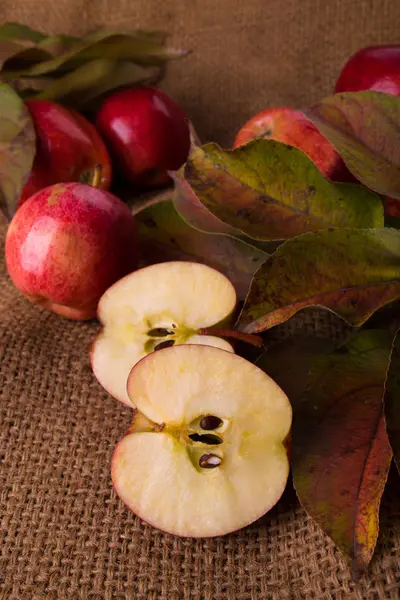 Herfst stilleven — Stockfoto