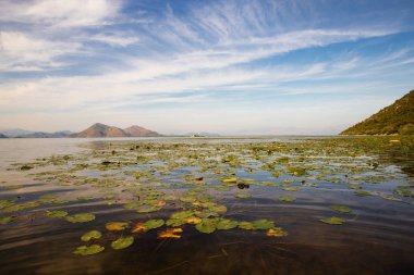 İşkodra Gölü görünümü
