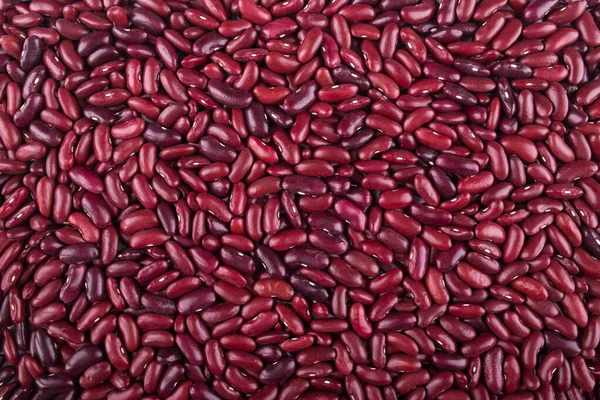 Background Layer Red Large Beans Brown Bean Solid Background — Stock Photo, Image