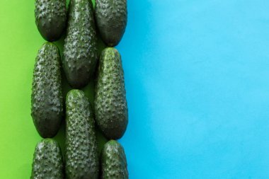 Mavi kopya alanı olan renkli arka planda salatalıklar. Yukarıdan taze salatalık görünümü.