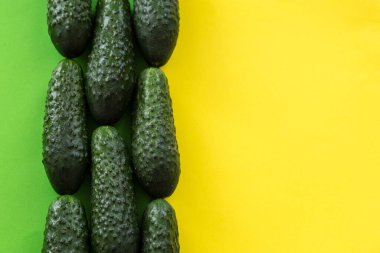 Renkli arkaplanda sarı kopya alanı olan taze salatalıklar.