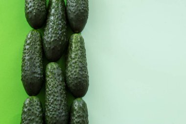 Taze salatalıklar hazır mı? nane kopyalama alanı olan yeşil arkaplanda.