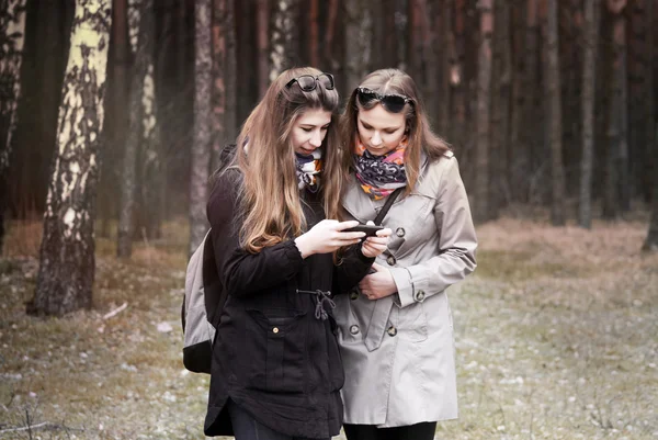 Girl selfie autumn — Stock Photo, Image