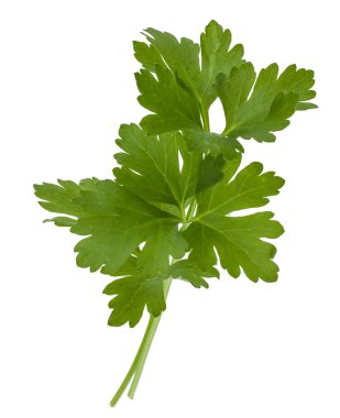 taze maydanoz ot izole yaprakları