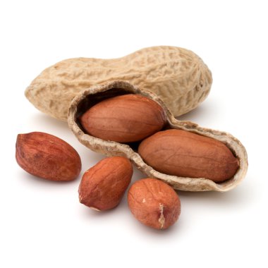 Açık fıstık veya yer fıstığı pod izole