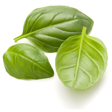 Tatlı fesleğen ot izole yaprakları