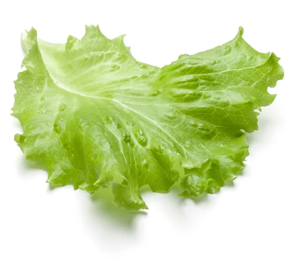 Fresh lettuce salad leaf isolated — Stock Photo, Image