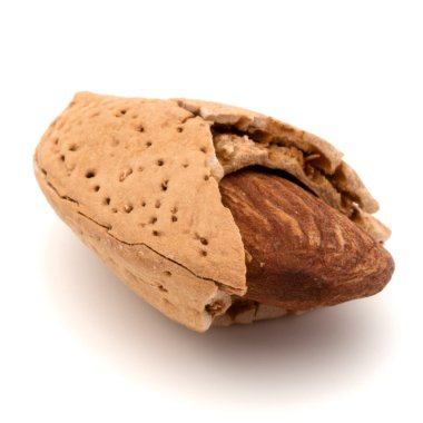 Badem fındık kabuğu