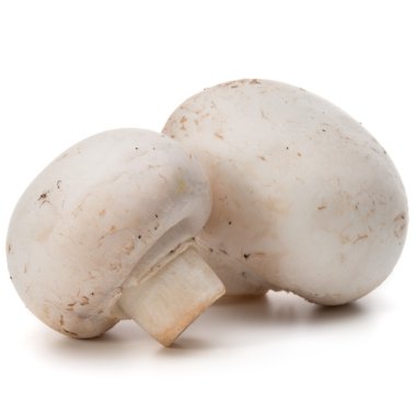 izole champignon mantar