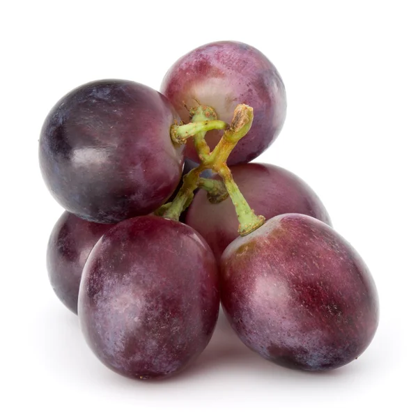 Bagas de uva vermelha cacho — Fotografia de Stock