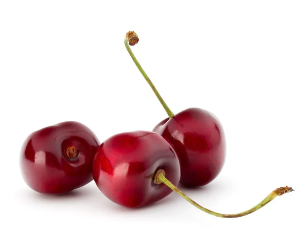 Sweet cherry berries — Stock Photo, Image