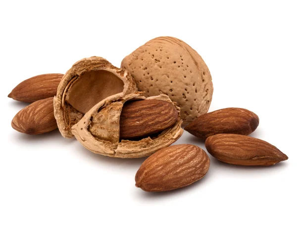 Almendras en cáscaras — Foto de Stock