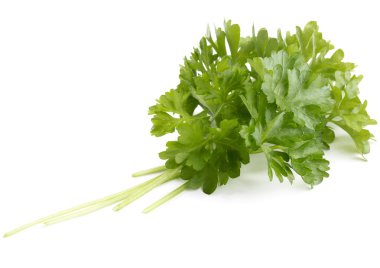 taze maydanoz bitki yaprakları 