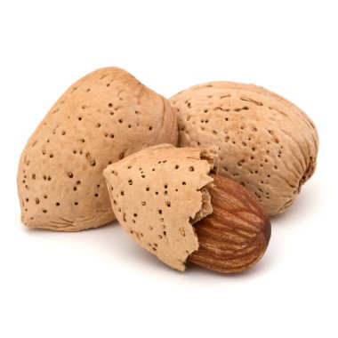 Badem fındık kabuğundaki ve kabuklu 