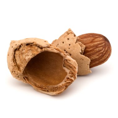 Badem fındık kabuğundaki ve kabuklu 