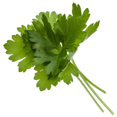 taze maydanoz bitki yaprakları 